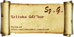 Szlivka Gábor névjegykártya