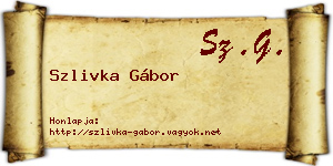 Szlivka Gábor névjegykártya